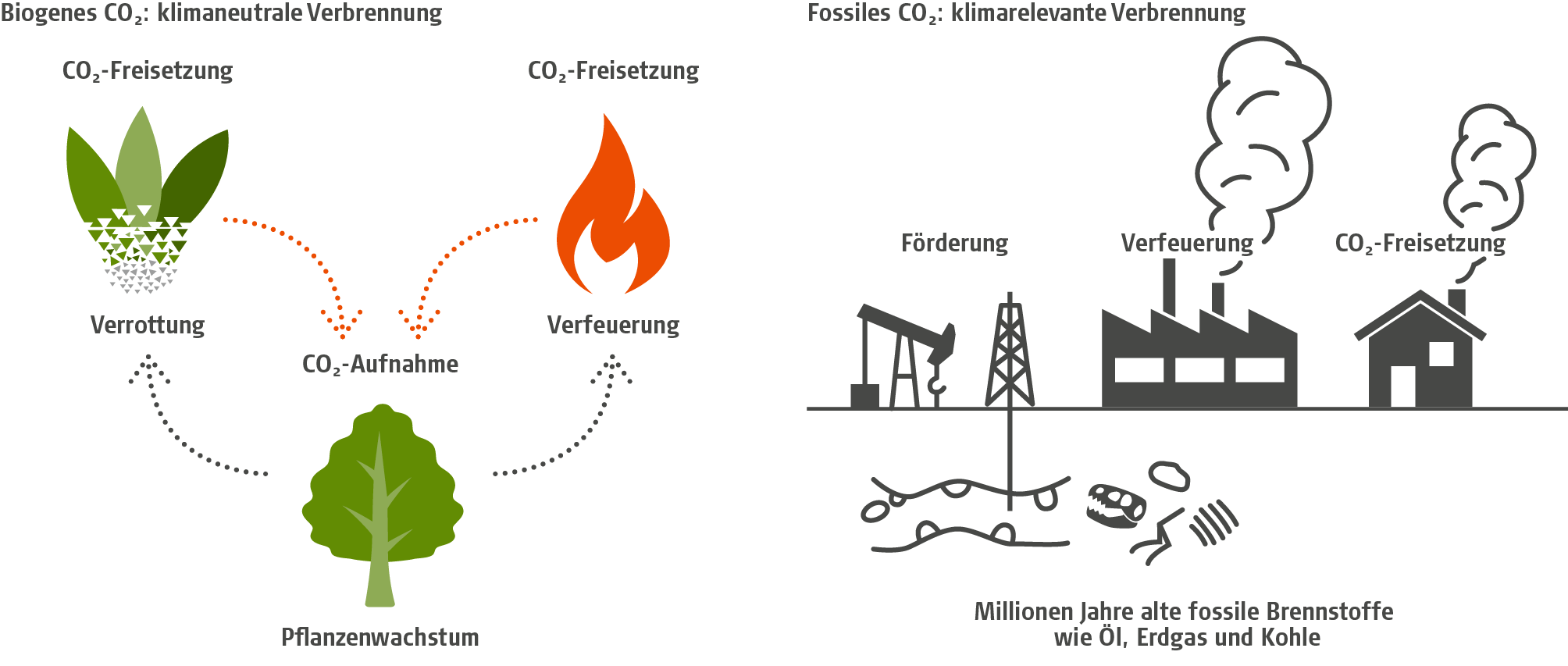 Biogenes CO2: Klimaneutrale Verbrennung